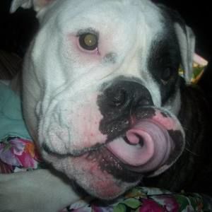 Meet your Posher, Kelly